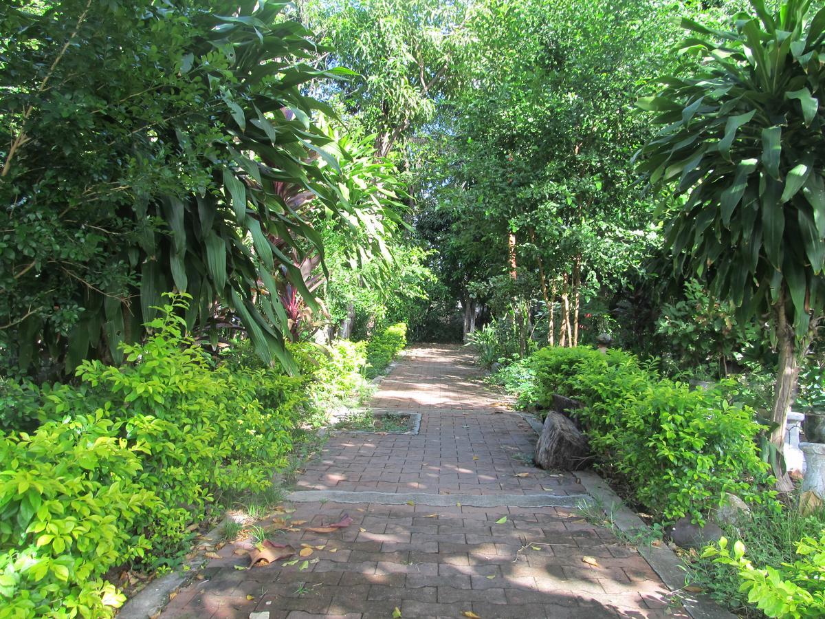 Backpackers And Travellers Hostel Neiva  Dış mekan fotoğraf