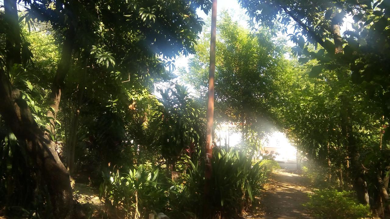 Backpackers And Travellers Hostel Neiva  Dış mekan fotoğraf